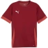 Pánsky dres Puma teamGoal Matchday Jersey burgundy 705747 09 pánsky