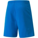 Pánske teamRISE Short M 704942 02 - Puma