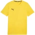 Puma Team Goal Casuals Tee M 658615 07 Pánske