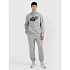 Pánske tepláky typu jogger 4F 4FRMM00TTROM1625-27M