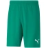 Pánske teamRISE Short M 704942 05 - Puma