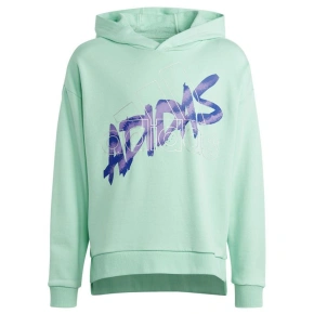 Adidas D Hoody Jr Mikina HR5825