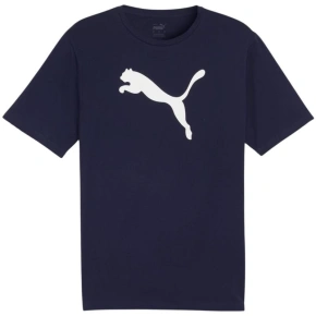 Puma Team Rise Logo Jersey Cotton M 658705 06 Muži