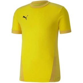 Puma teamGOAL 23 Jersey M 704171 07 pánske dresy