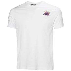 Helly Hansen Core Graphic T 2.0 M 54599 002 tričko