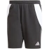 Šortky adidas Tiro 24 Sweat M IP1954