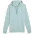 Puma Ess 2 Color Small No.1 Logo Hoodie TR M 684719 67 Muži