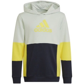 Adidas Colourblock Hoodie Jr HN8567 Adidas Colourblock Hoodie Jr HN8567