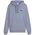 Pánska mikina Puma ESS 2 Color Small No.1 Logo Hoodie šedá 684719 65 pánske