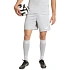 Pánske šortky adidas Tiro 26 League šedé KA8781