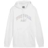 Puma Ess+ Logo LAB Gradient Hoodie FL M 681775 02 Muži