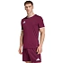 Pánske tričko adidas Entrada 26 Jersey bordová JZ2507