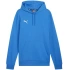 Pánska mikina Puma Team Goal Casuals Hoody M 658618 02