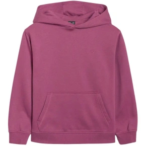 Mikina 4F F1953 Jr 4FJWAW25TSWSF1953 50S