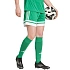 Dámske šortky adidas Squadra 25 green JN7483 women