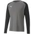 Brankárska mikina Puma teamPacer GK LS M 704933 43 muži