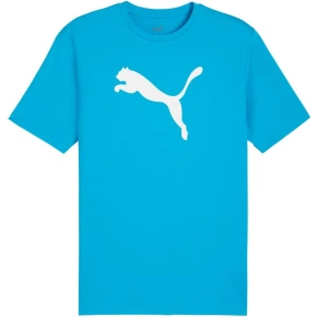 Puma Team Rise Logo Jersey Cotton M 658705 02 Muži