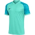 Pánske tričko Nike Dri-FIT Trophy VI turquoise HV8151 354