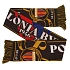 Šál Polonia Bytom - 80 rokov hokeja