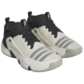 Pánske športové nohavice Trae Unlimited M IF5609 White and Black - Adidas