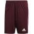 Pánske krátke nohavice Squadra 21 M GN8083 - Adidas