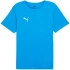 Puma teamRISE Matchday Jersey M 706132 02 muži