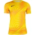Pánske športové nohavice Fit Gardien HV8301 718 yellow - Nike