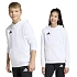Detská mikina adidas Entrada 26 Hoody white JZ6561