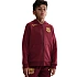Mikina Nike FC Barcelona SE FZ1285-677
