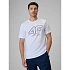 Pánske tričko s logom 4F 4FRSS26TTSHM3999-10S