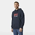 Helly Hansen Pánska mikina s kapucňou HH LOGO 54582 597 Pánske