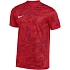 Pánske tričko Nike Dri-Fit Precision VII, červené, FZ9332, 657 L