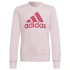 Mikina Adidas Big Logo SWT Jr HM8709