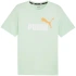 Puma ESS+ 2 Col Logo T-Shirt M 586759 88 muži