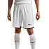 Pánske šortky Nike Dri-Fit Laser VI white HV8244 100