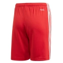 Squadra 21 GN5761 Mládežnícke šortky - Adidas