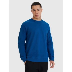 Pánska mikina s kapucňou 4F 4FRSS25TSWSM2179-46S Pánska mikina s kapucňou 4F 4FRSS25TSWSM2179-46S