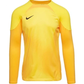 Pánsky brankársky dres Gardien IV JSY M DH7967 719 - Nike