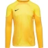 Pánsky brankársky dres Gardien IV JSY M DH7967 719 - Nike