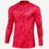 Nike Gardien V Goalkeeper DF V M FD7474-644