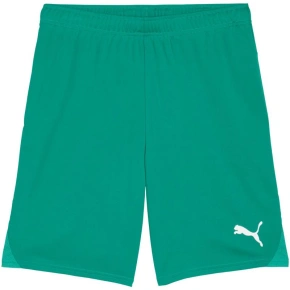 Pánske šortky Puma Team Goal Green 705752 05