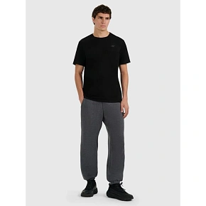 Pánske tepláky typu jogger 4F 4FRMM00TTROM1625-23M