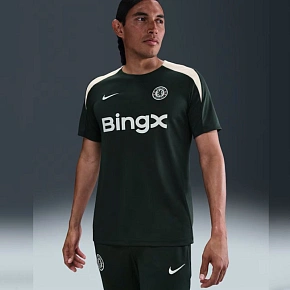 Tričko Nike Chelsea FC 2025/26 HJ7750-347