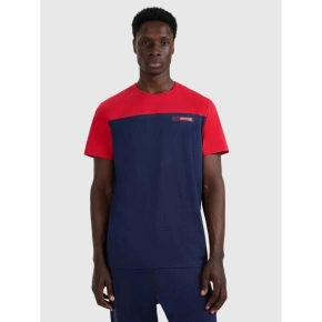 Pánske tričko s potlačou 4F 4FRAW25TTSHM3292-31S