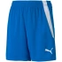 Puma teamLIGA Šortky Jr 704931 02
