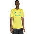 Pánske tričko adidas Brazil 26 Jersey yellow KH2307