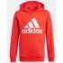 Detská mikina Essentials Big Logo Hoodie Jr GN4037 - Adidas