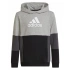 Adidas Colourblock Hoodie Jr HN8563