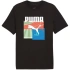 Puma Graphics Summer Sports Tee II M 627909 01 pánske tričko