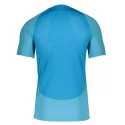 Pánske futbalové tričko Academy M DQ5053 499 - Nike